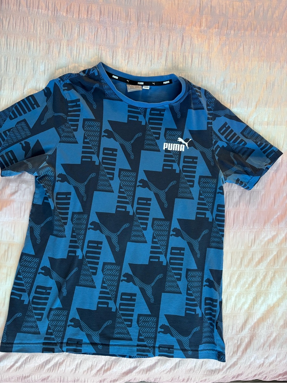 Puma Blue Graphic Logo Short Sleeve Tee